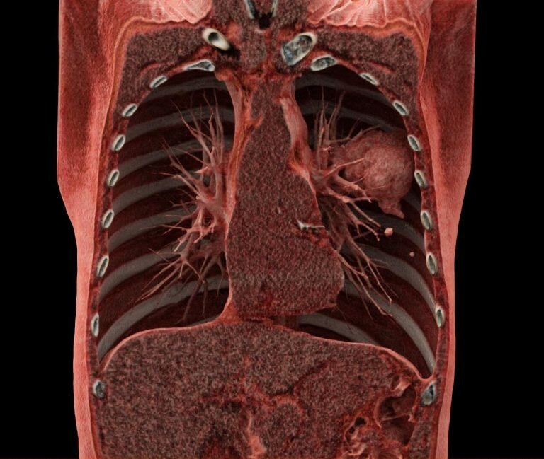 Навигатор по онкологии Навигатор по онкологии